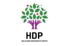 halkların demokrasi partisi hdp parti programı vergi başlığı