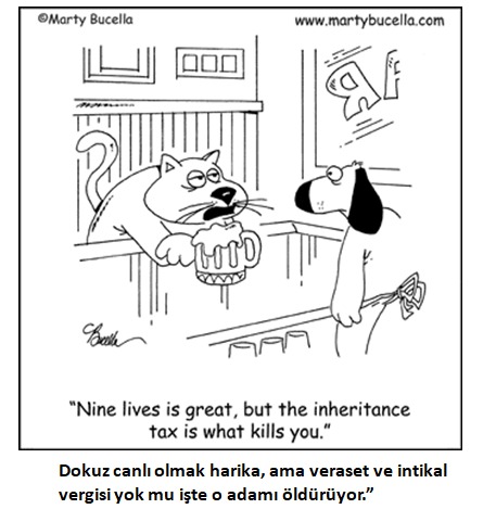 dokuz canlı olmak veraset ve intikal vergisi